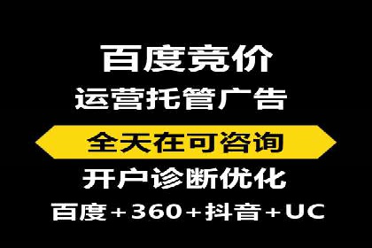 百度推广排名案例报告：某行业巨头如何运用其占领市场高地